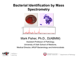 An Update on Antimicrobial Susceptibility Testing