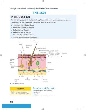 The Skin Introduction the Skin Is Largest Organ in the Human Body