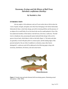 Taxonomy, Ecology and Life History of Bull Trout, Salvelinus Confluentus (Suckley)