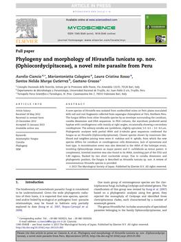 (Ophiocordycipitaceae), a Novel Mite Parasite from Peru