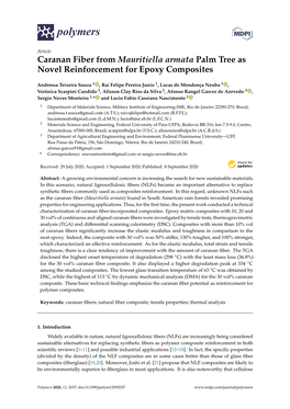 Caranan Fiber from Mauritiella Armata Palm Tree As Novel Reinforcement for Epoxy Composites