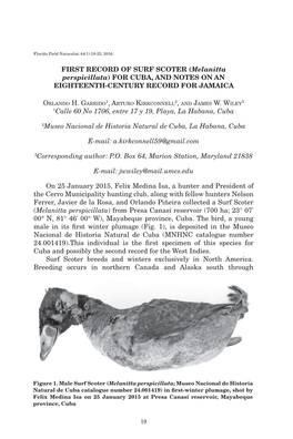 First Record of Surf Scoter (Melanitta Perspicillata) for Cuba, and Notes on an Eighteenth-Century Record for Jamaica 1Calle 60