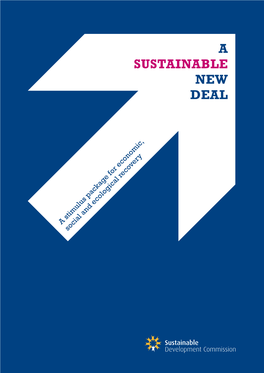 Sustainable New Deal