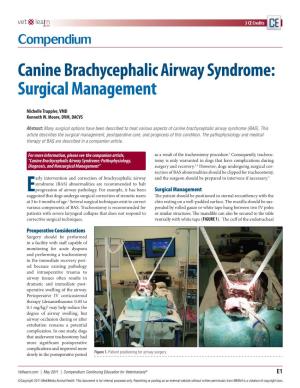 Canine Brachycephalic Airway Syndrome: Surgical Management