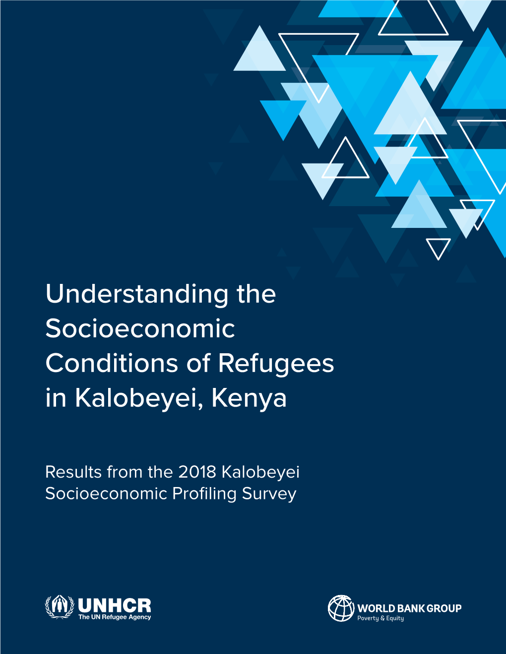 Understanding the Socioeconomic Conditions of Refugees in Kalobeyei, Kenya