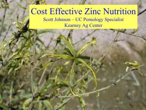 Cost Effective Zinc Nutrition Scott Johnson – UC Pomology Specialist Kearney Ag Center Hiawatha Nemaguard Peach Rootstocks and Zn Uptake December 2006 Shoot Zn