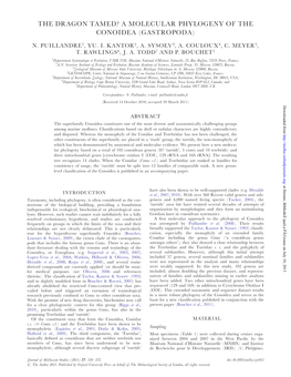 A Molecular Phylogeny of the Conoidea (Gastropoda)