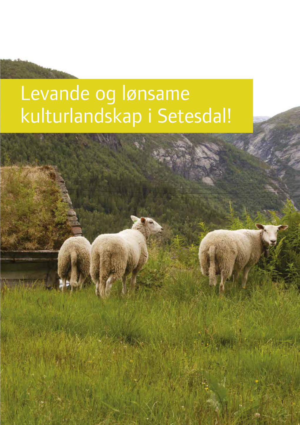 Levande Og Lønsame Kulturlandskap I Setesdal!