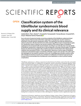 Classification System of the Tibiofibular Syndesmosis Blood Supply and Its
