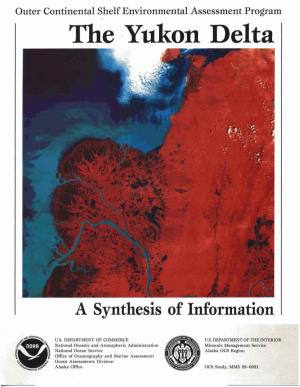 A Synthesis of Information I