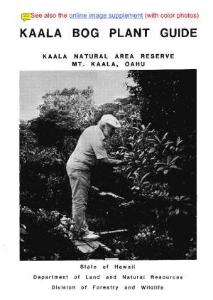 Kaala Bog Plant Guide