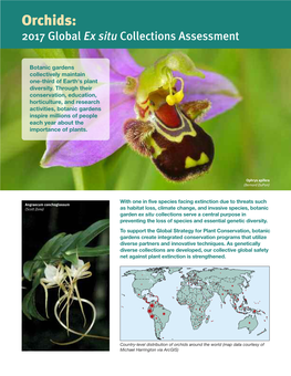Orchids: 2017 Global Ex Situ Collections Assessment