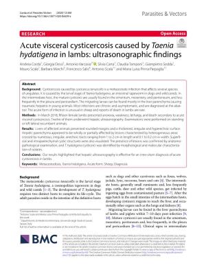 Αcute Visceral Cysticercosis Caused by Taenia Hydatigena in Lambs