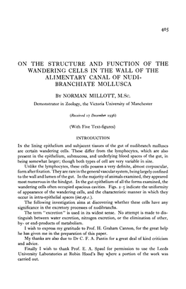 On the Structure and Function of the Wandering Cells in the Wall of the Alimentary Canal of Nudi- Branchiate Mollusca