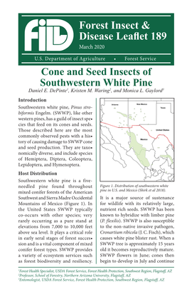 Cone and Seed Insects of Southwestern White Pine Daniel E