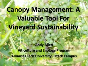 Canopy Management: a Valuable Tool for Vineyard Sustainability