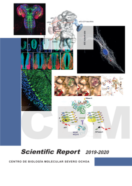 Scientific Report 2019-2020