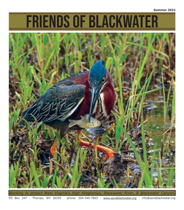 Friends of Blackwater