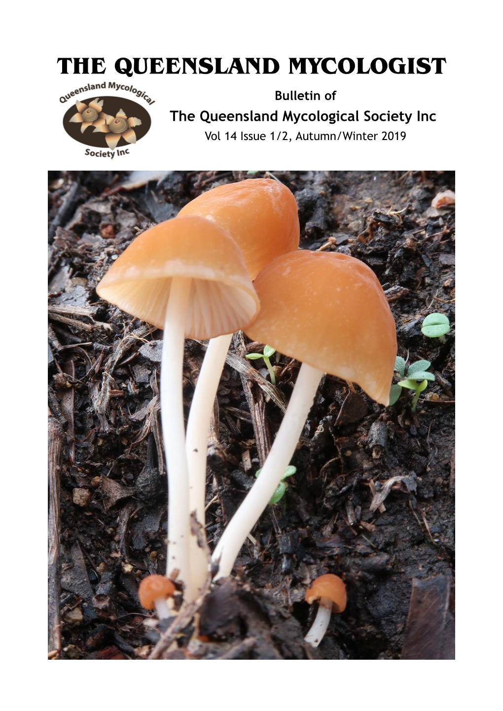 The Queensland Mycologist