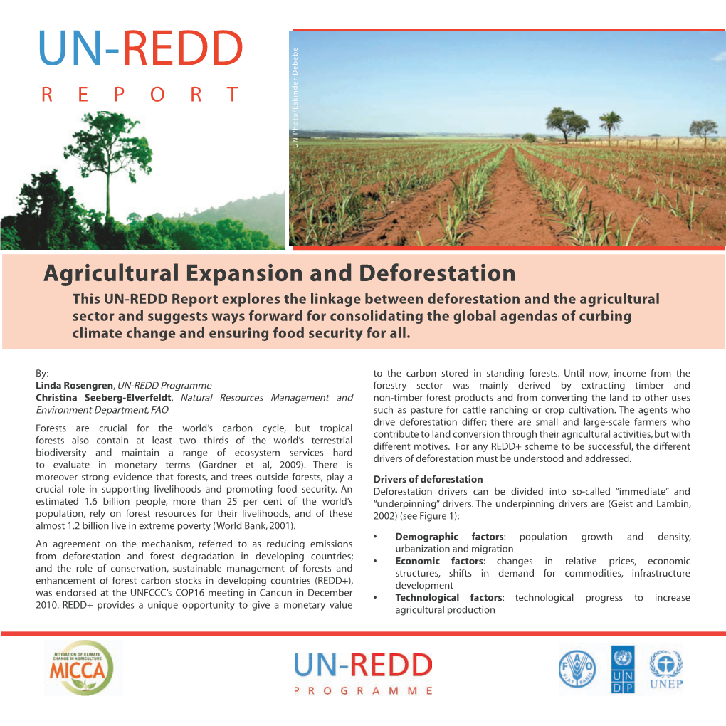 Agricultural Expansion and Deforestation