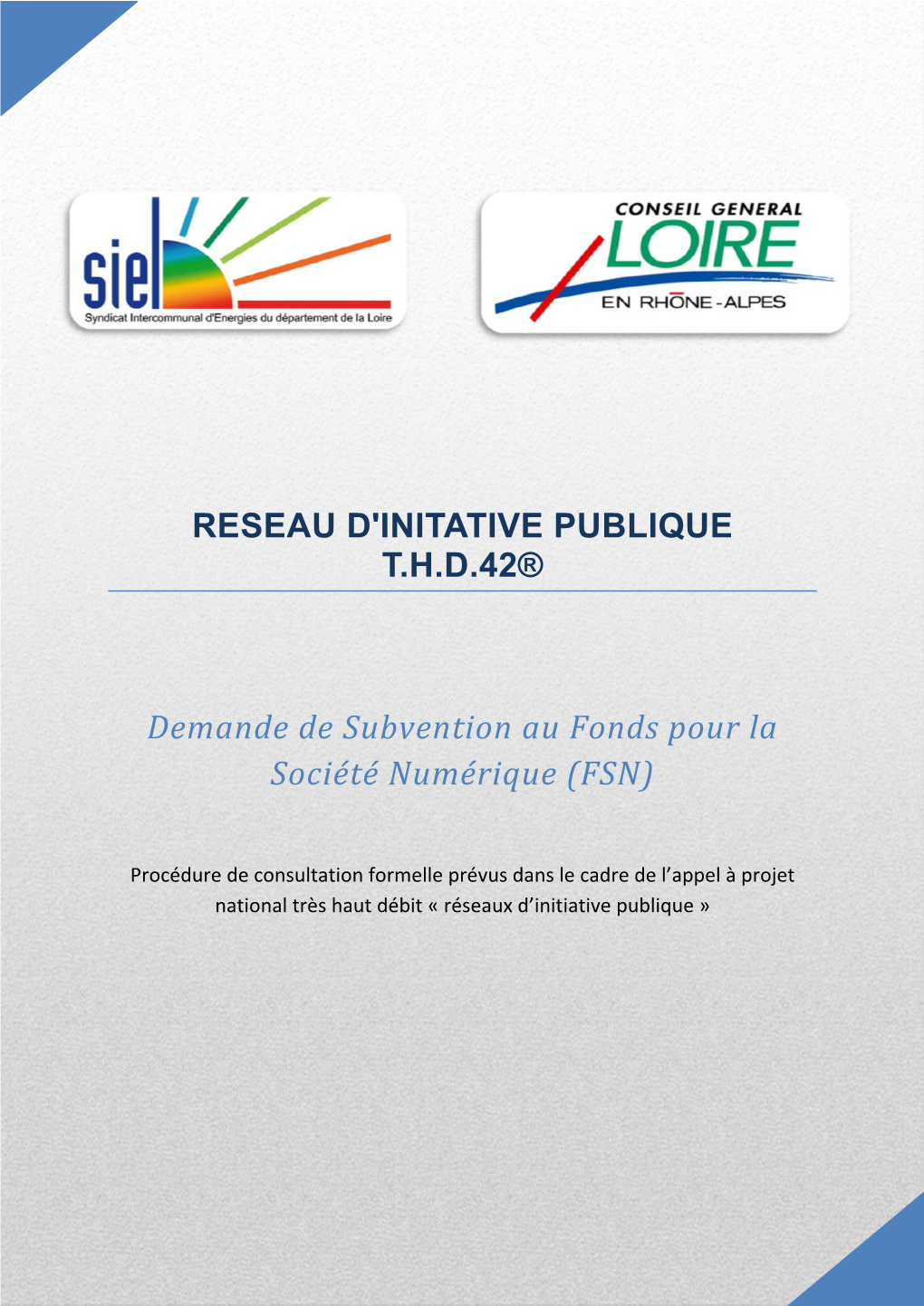 RESEAU D'initative PUBLIQUE THD42® Demande De Subvention