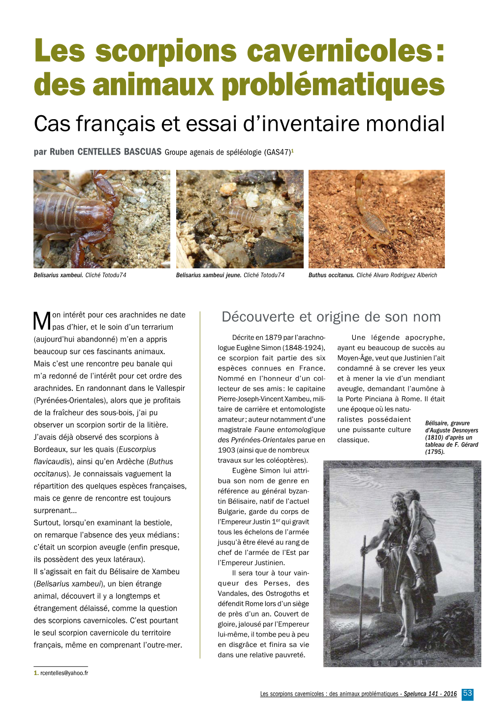 Les Scorpions Cavernicoles : Des Animaux Problématiques Cas Français Et Essai D’Inventaire Mondial