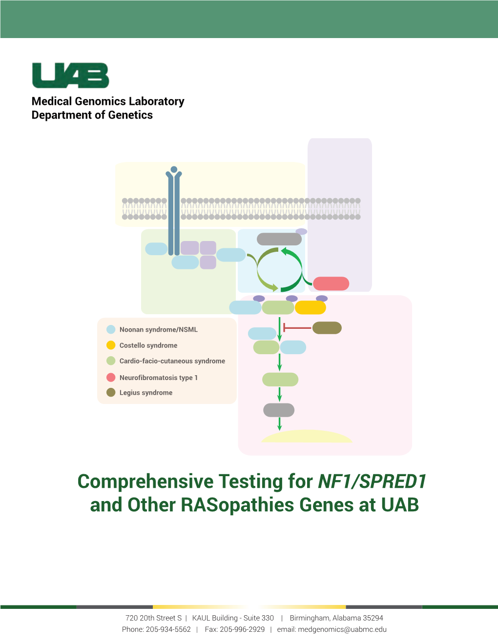 Comprehensive Testing for NF1/SPRED1 and Other Rasopathies Genes at UAB