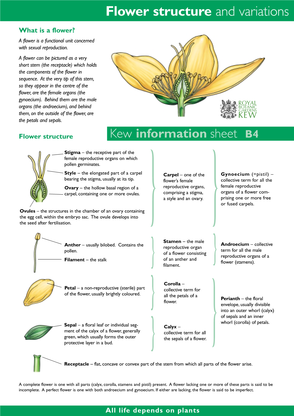 Flower Structure and Variations