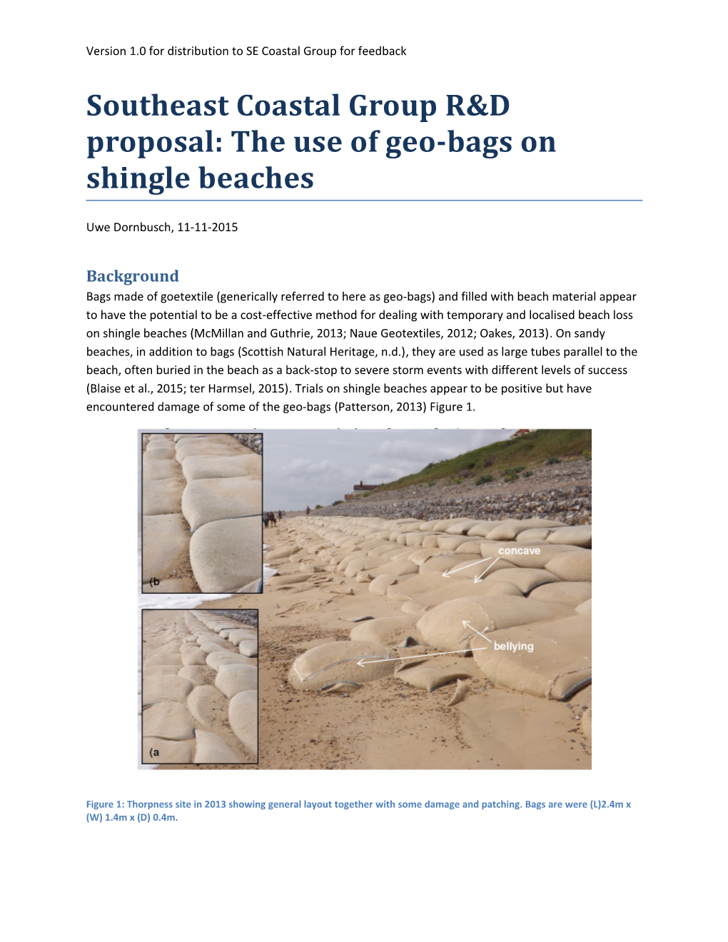 Southeast Coastal Group R&D Proposal: the Use of Geo-Bags on Shingle Beaches