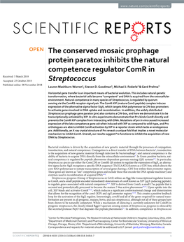 The Conserved Mosaic Prophage Protein Paratox Inhibits the Natural