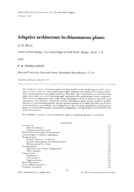 Adaptive Architecture in Rhizomatous Plants