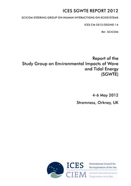 Report of the Study Group on Environmental Impacts of Wave and Tidal Energy (SGWTE)