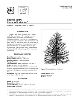 Cedrus Libani Cedar-Of-Lebanon1 Edward F