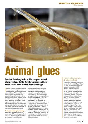 Animal Glues