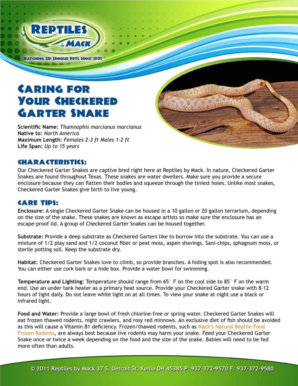 Caring for Your Checkered Garter Snake