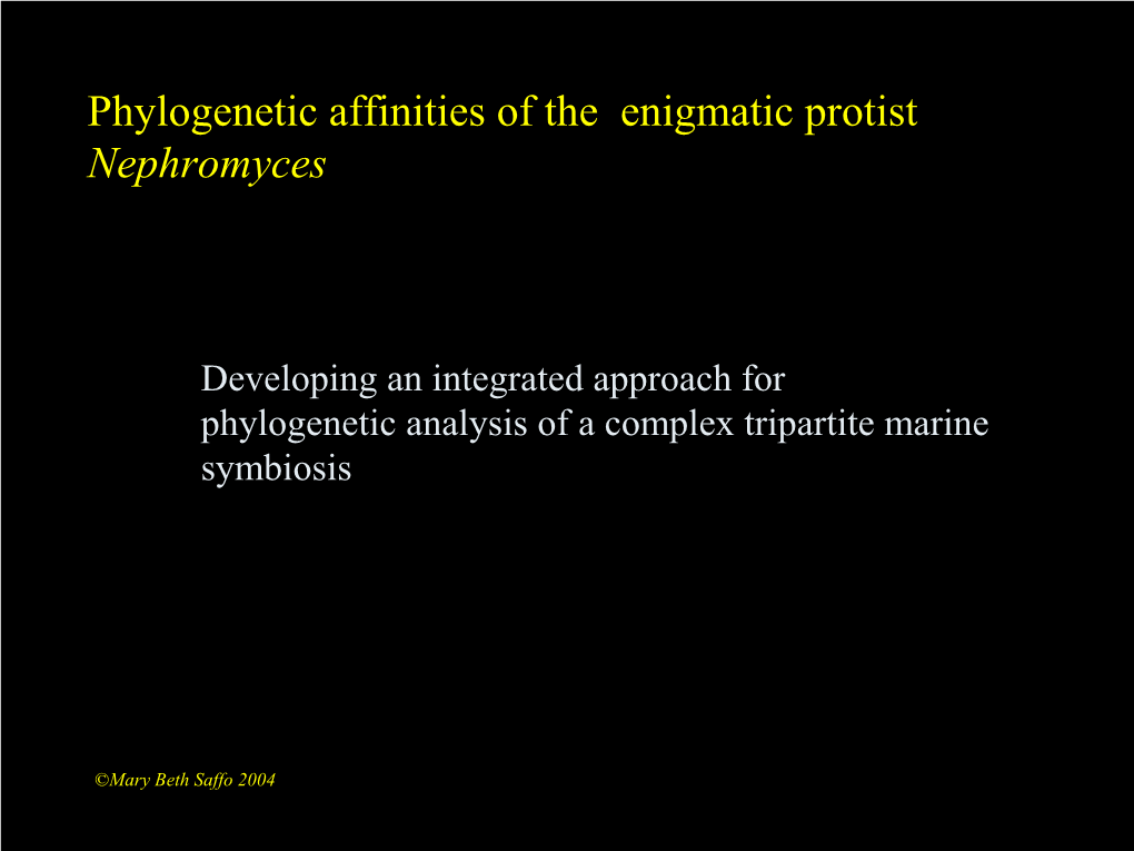 Phylogenetic Affinities of the Enigmatic Protist Nephromyces