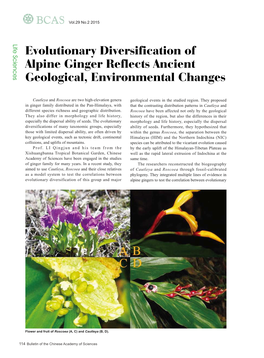 Evolutionary Diversification of Alpine Ginger Reflects Ancient Geological, Environmental Changes