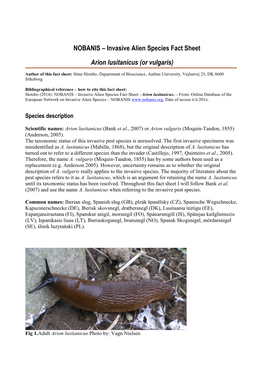 Arion Lusitanicus (Or Vulgaris)