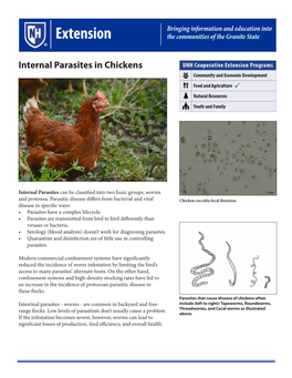 Internal Parasites in Chickens