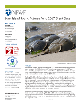 Long Island Sound Futures Fund 2017 Grant Slate