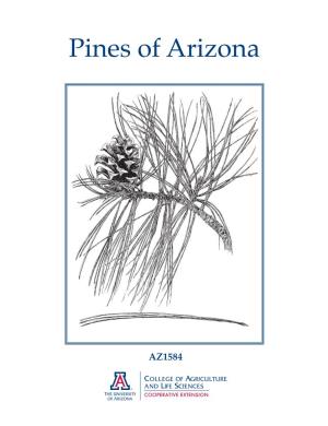 Pines of Arizona