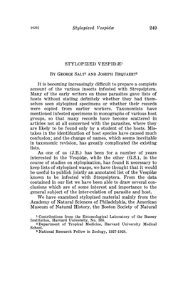 STYLOPIZED Vespidze by GEORGE SALT2 and JOSEPH BEQUAERT