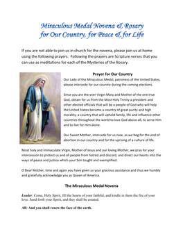 Miraculous Medal Novena Prayers for the Election
