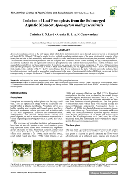 Isolation of Leaf Protoplasts from the Submerged Aquatic Monocot Aponogeton Madagascariensis