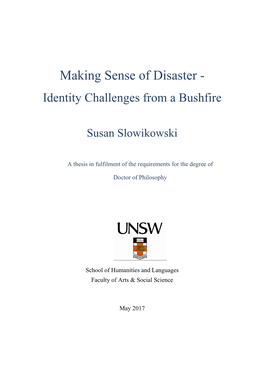 Making Sense of Disaster - Identity Challenges from a Bushfire