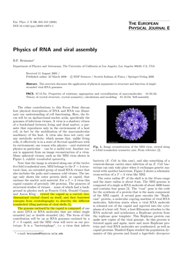 Physics of RNA and Viral Assembly