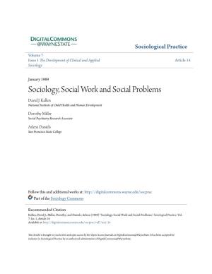 Sociology, Social Work and Social Problems David J