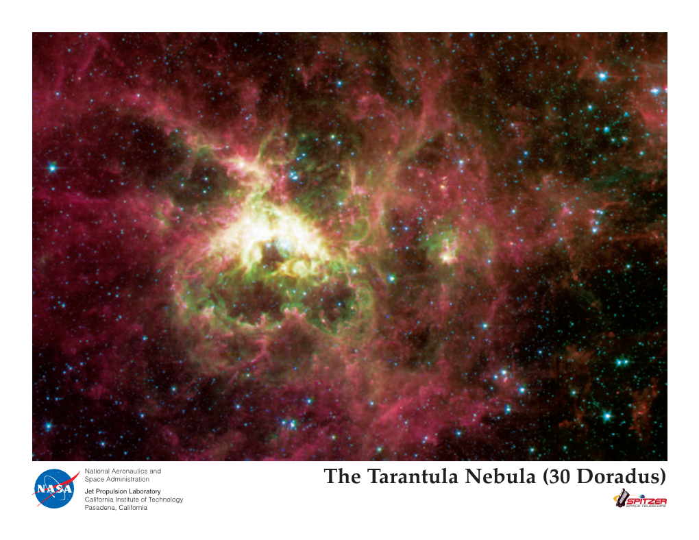 The Tarantula Nebula (30 Doradus)