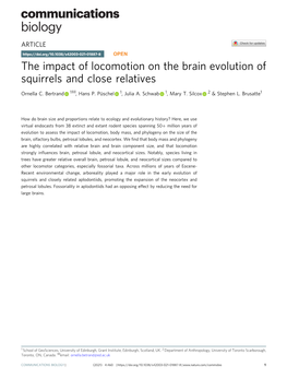 The Impact of Locomotion on the Brain Evolution of Squirrels and Close Relatives ✉ Ornella C