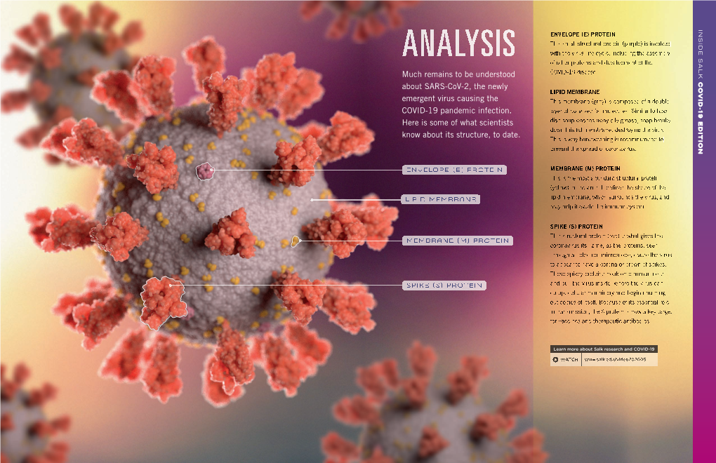 Much Remains to Be Understood About SARS-Cov-2, the Newly Emergent